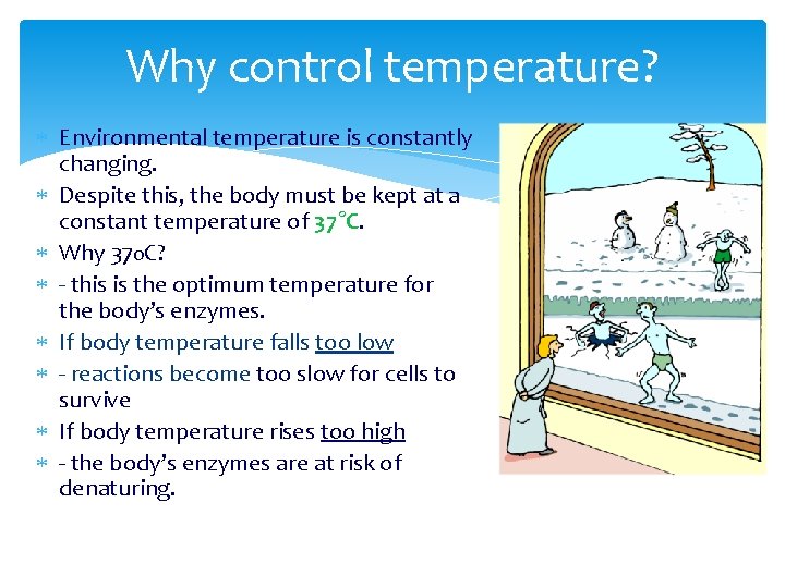 Why control temperature? Environmental temperature is constantly changing. Despite this, the body must be