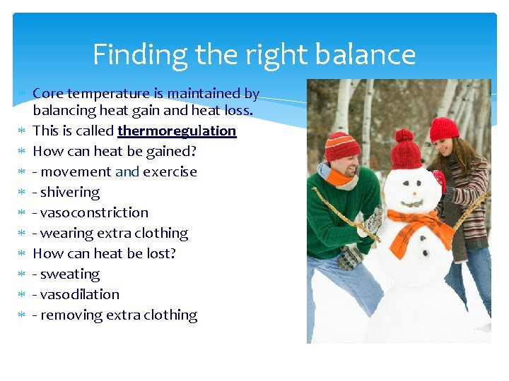 Finding the right balance Core temperature is maintained by balancing heat gain and heat
