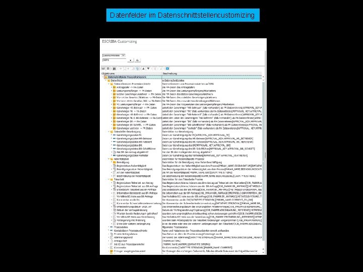 Datenfelder im Datenschnittstellencustomizing © docforce 2019 | Tim Parth & Peer Heineken | Am