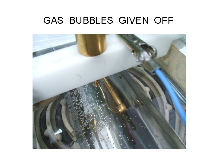 GAS BUBBLES GIVEN OFF 