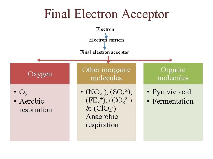 Final Electron Acceptor Electron carriers Final electron acceptor Oxygen • O 2 • Aerobic