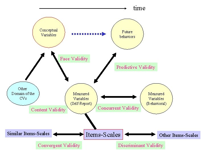 time Conceptual Variables Future behaviors Face Validity Predictive Validity Other Domain of the CVs