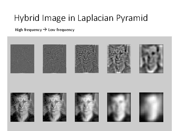 Hybrid Image in Laplacian Pyramid High frequency Low frequency Hybrid Image in Laplacian Pyramid High frequency Low frequency
