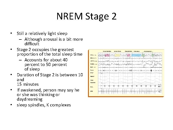 NREM Stage 2 • Still a relatively light sleep – Although arousal is a