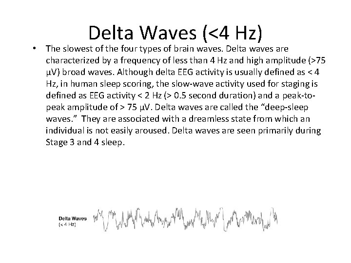 Delta Waves (<4 Hz) • The slowest of the four types of brain waves.