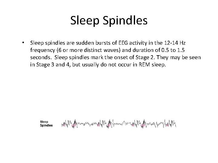 Sleep Spindles • Sleep spindles are sudden bursts of EEG activity in the 12