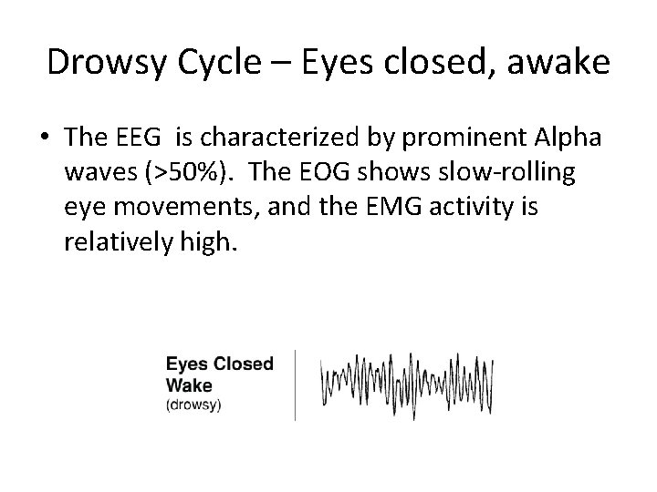 Drowsy Cycle – Eyes closed, awake • The EEG is characterized by prominent Alpha