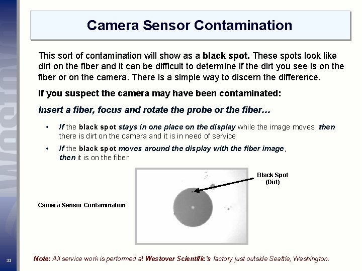 Camera Sensor Contamination This sort of contamination will show as a black spot. These