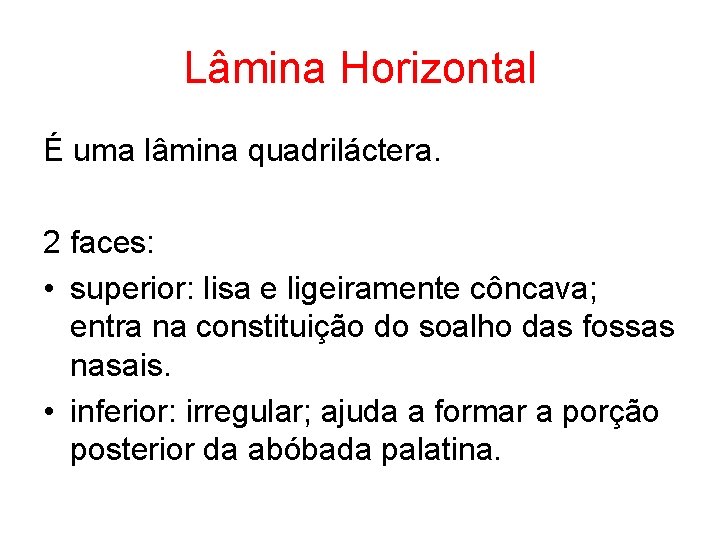 Lâmina Horizontal É uma lâmina quadriláctera. 2 faces: • superior: lisa e ligeiramente côncava;