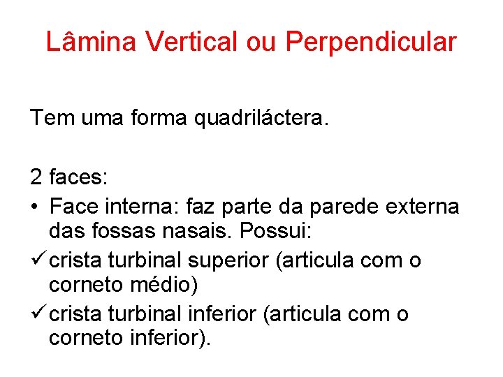 Lâmina Vertical ou Perpendicular Tem uma forma quadriláctera. 2 faces: • Face interna: faz