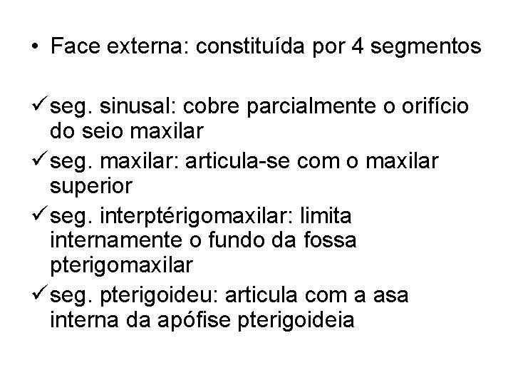  • Face externa: constituída por 4 segmentos ü seg. sinusal: cobre parcialmente o