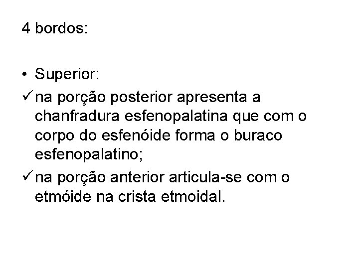 4 bordos: • Superior: ü na porção posterior apresenta a chanfradura esfenopalatina que com