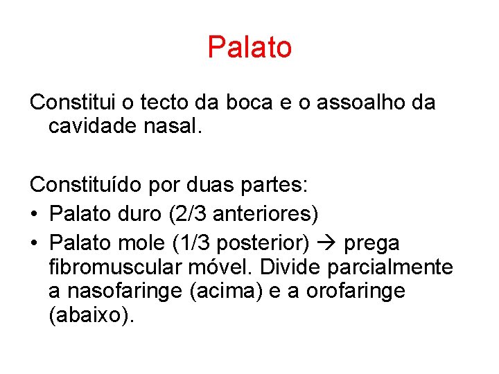 Palato Constitui o tecto da boca e o assoalho da cavidade nasal. Constituído por