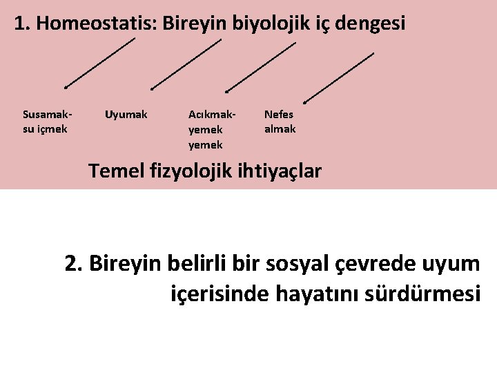 1. Homeostatis: Bireyin biyolojik iç dengesi Susamaksu içmek Uyumak Acıkmakyemek Nefes almak Temel fizyolojik