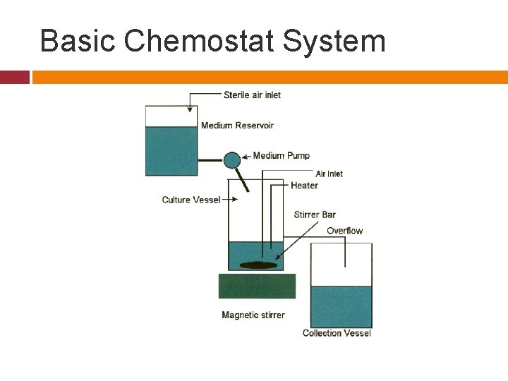 Basic Chemostat System 