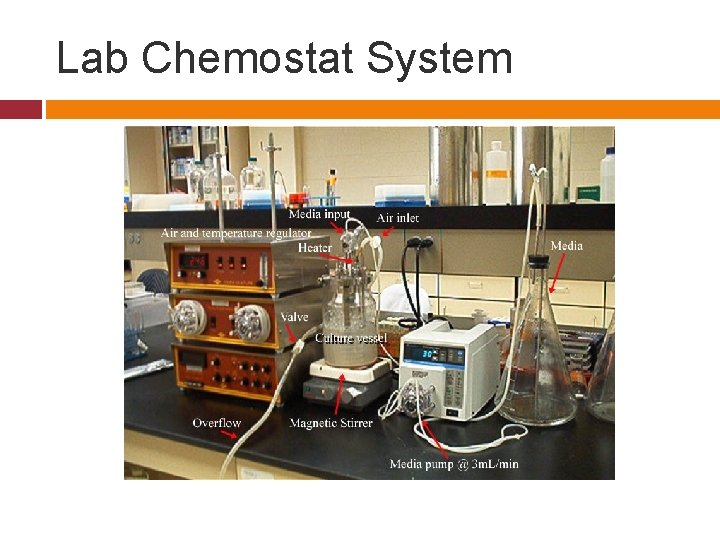 Lab Chemostat System 