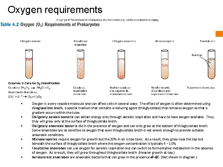 Oxygen requirements • • • Oxygen is a very reactive molecule and can affect