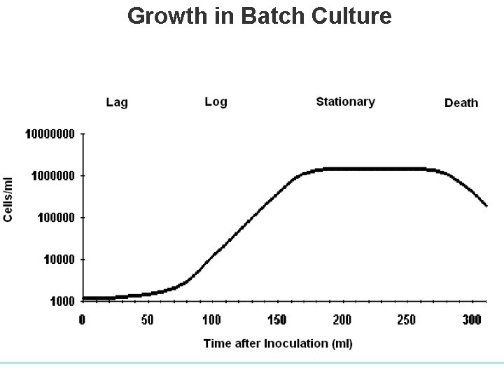 Growth in Batch Culture 