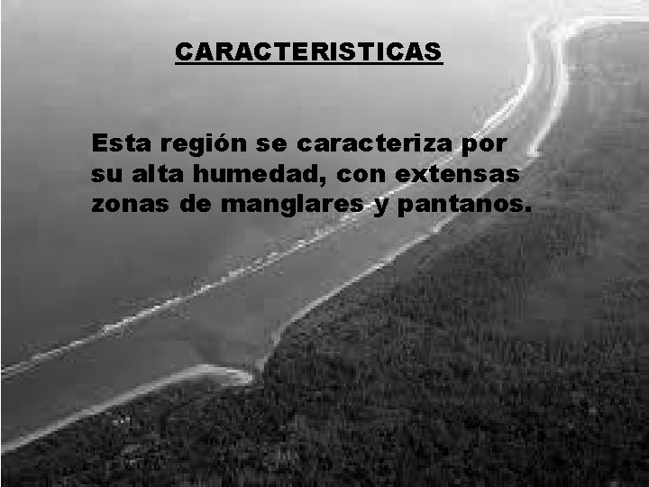 CARACTERISTICAS Esta región se caracteriza por su alta humedad, con extensas zonas de manglares