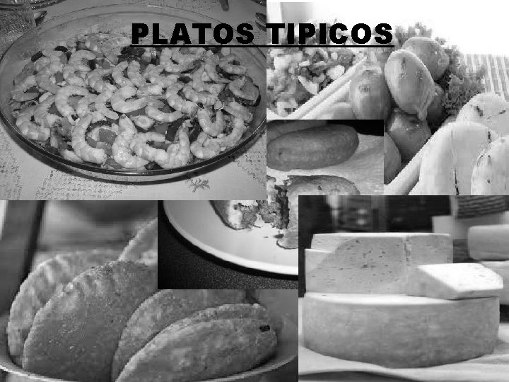 PLATOS TIPICOS 