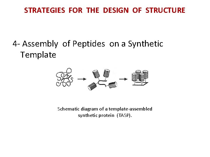 STRATEGIES FOR THE DESIGN OF STRUCTURE 4 - Assembly of Peptides on a Synthetic