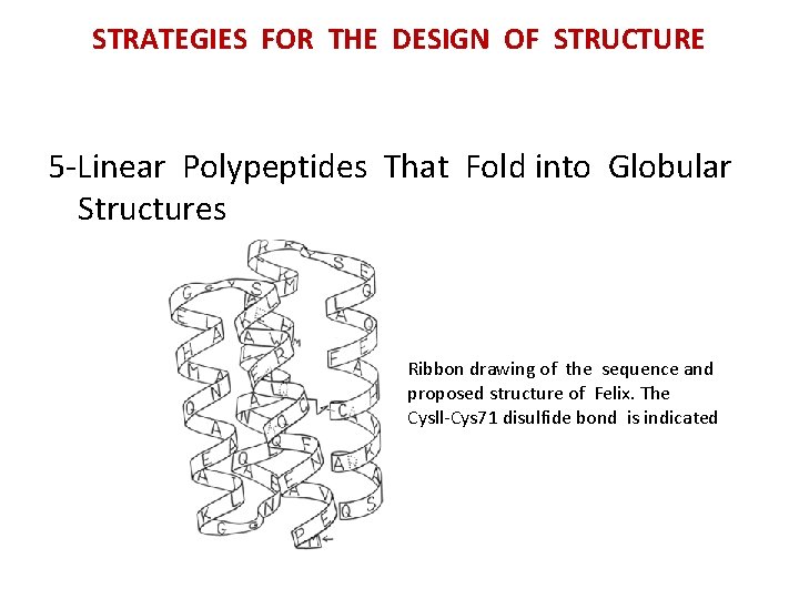 STRATEGIES FOR THE DESIGN OF STRUCTURE 5 -Linear Polypeptides That Fold into Globular Structures