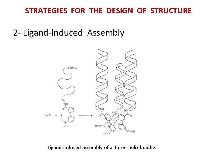 STRATEGIES FOR THE DESIGN OF STRUCTURE 2 - Ligand-lnduced Assembly Ligand-induced assembly of a