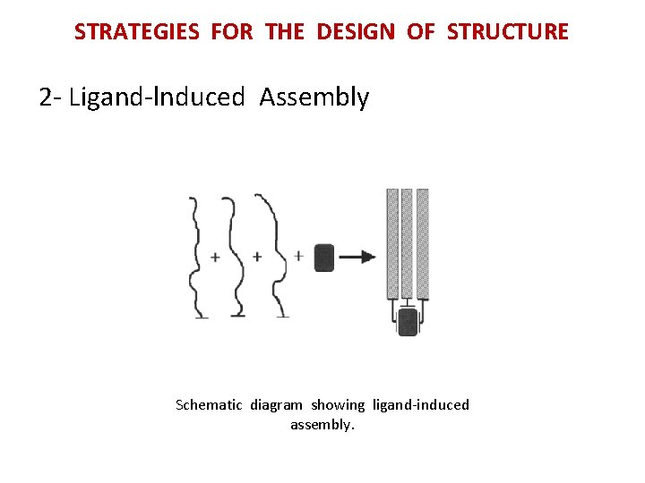 STRATEGIES FOR THE DESIGN OF STRUCTURE 2 - Ligand-lnduced Assembly Schematic diagram showing ligand-induced