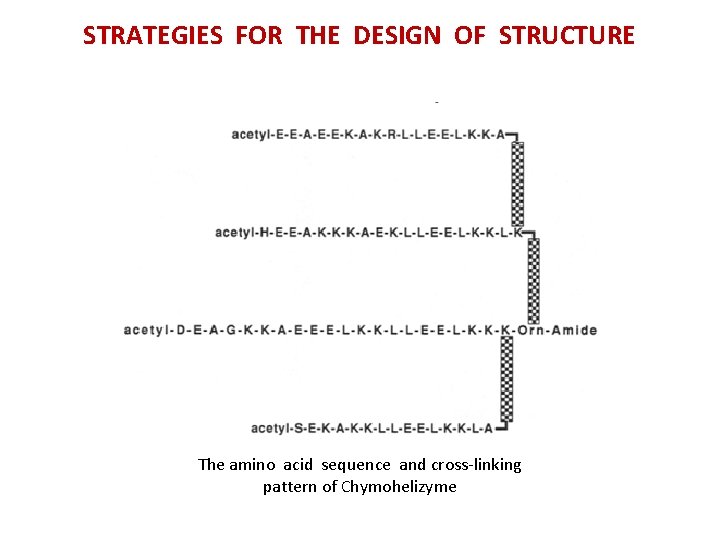 STRATEGIES FOR THE DESIGN OF STRUCTURE The amino acid sequence and cross-linking pattern of