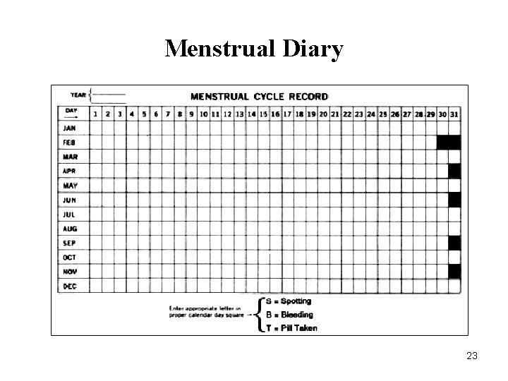 Menstrual Diary 23 