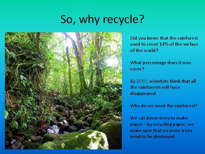 So, why recycle? Did you know that the rainforest used to cover 14% of