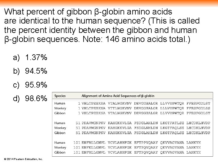 What percent of gibbon β-globin amino acids are identical to the human sequence? (This