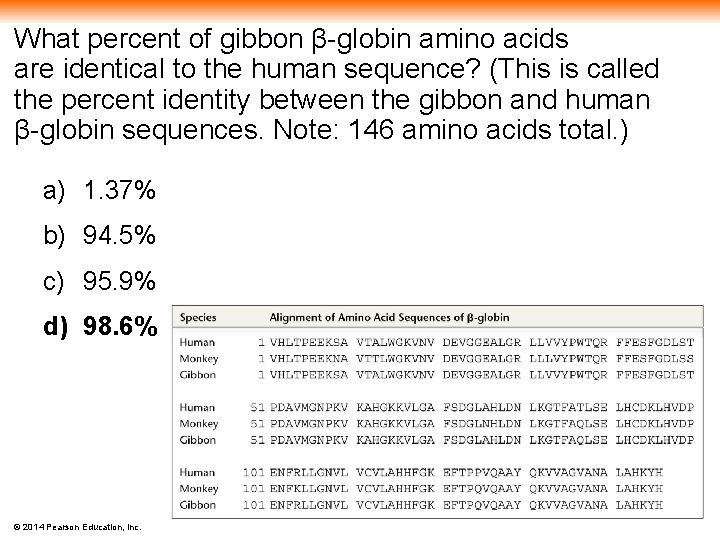 What percent of gibbon β-globin amino acids are identical to the human sequence? (This