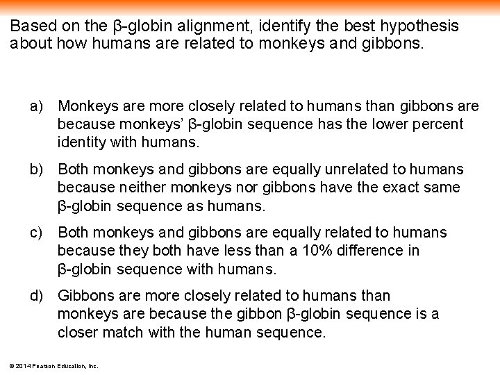 Based on the β-globin alignment, identify the best hypothesis about how humans are related