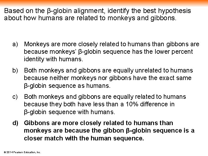 Based on the β-globin alignment, identify the best hypothesis about how humans are related