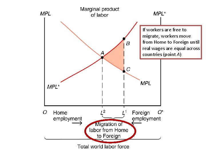 If workers are free to migrate, workers move from Home to Foreign until real