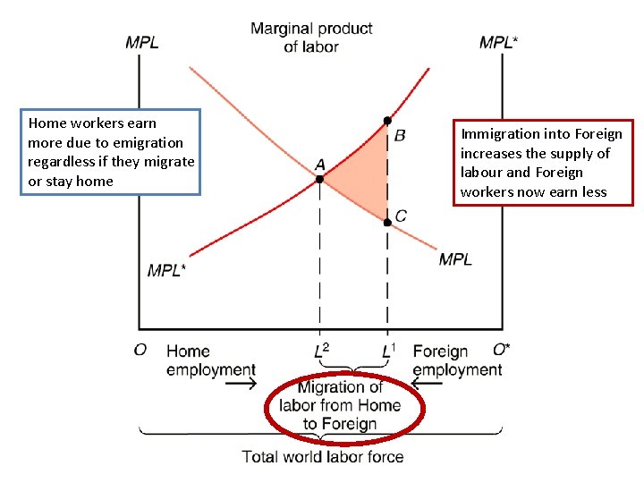 Home workers earn more due to emigration regardless if they migrate or stay home