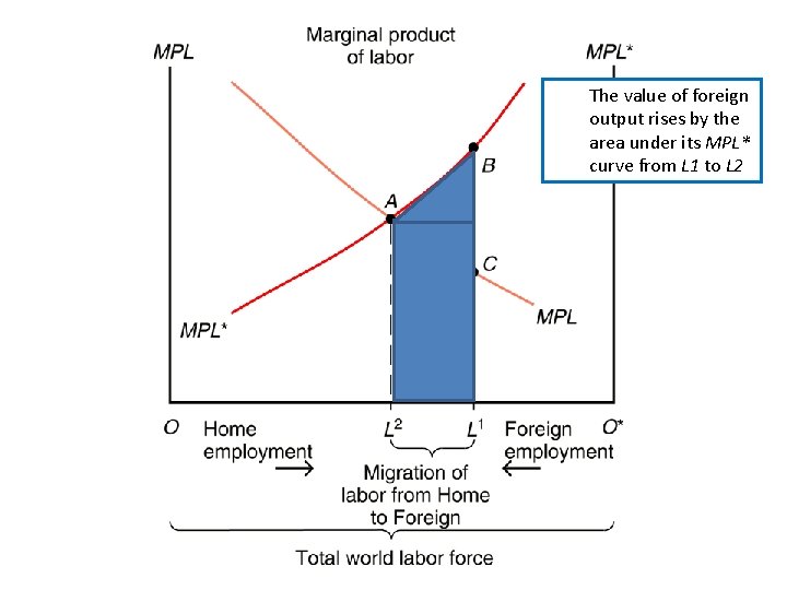 The value of foreign output rises by the area under its MPL* curve from