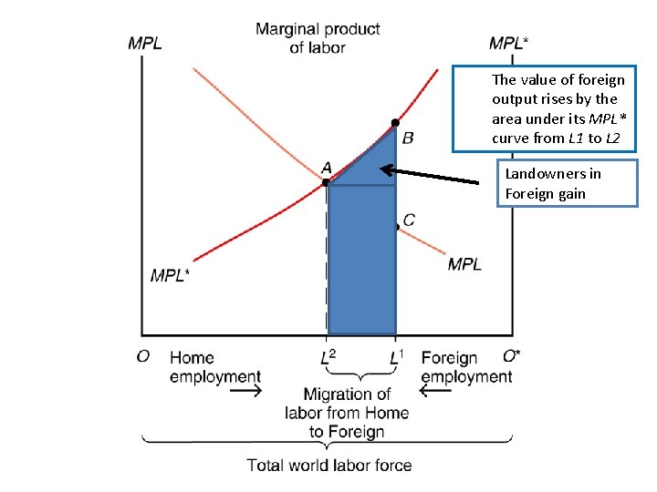The value of foreign output rises by the area under its MPL* curve from