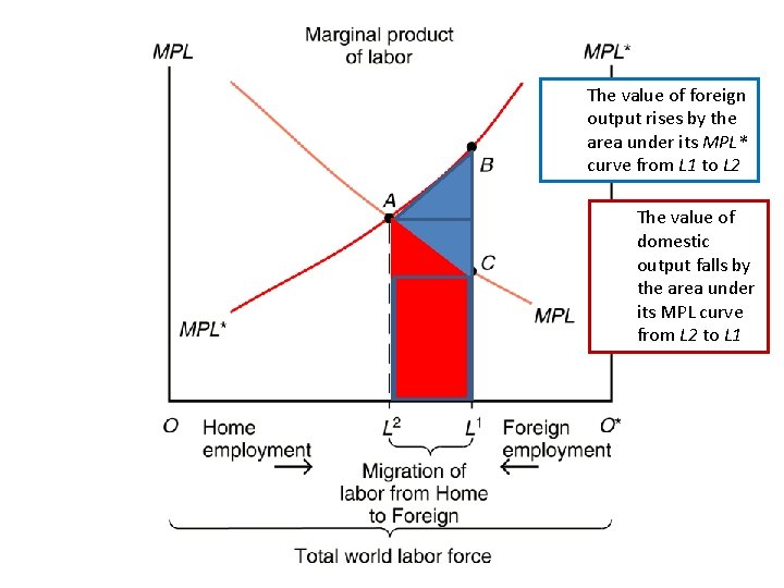 The value of foreign output rises by the area under its MPL* curve from