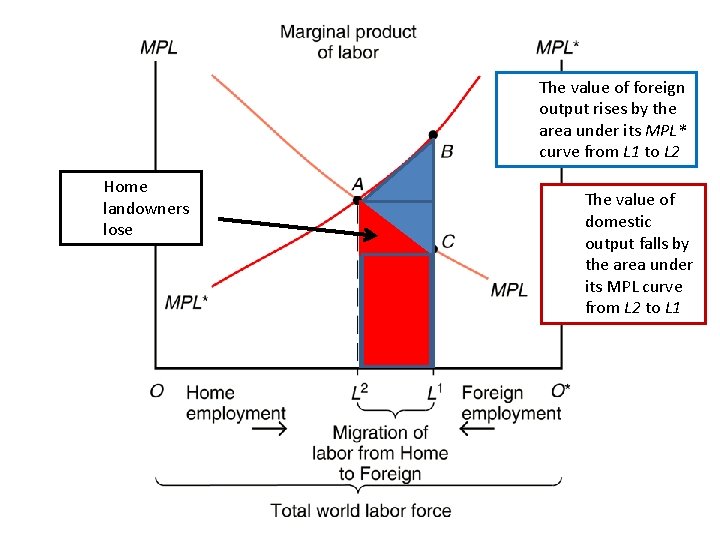 The value of foreign output rises by the area under its MPL* curve from