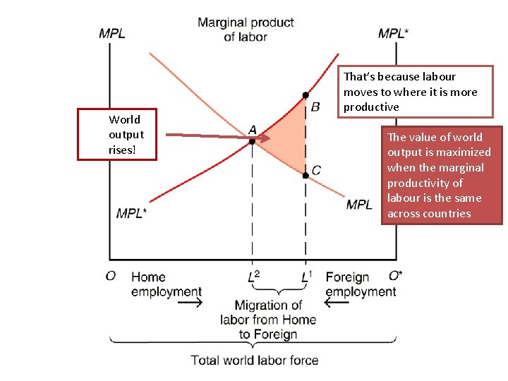 World output rises! That’s because labour moves to where it is more productive The