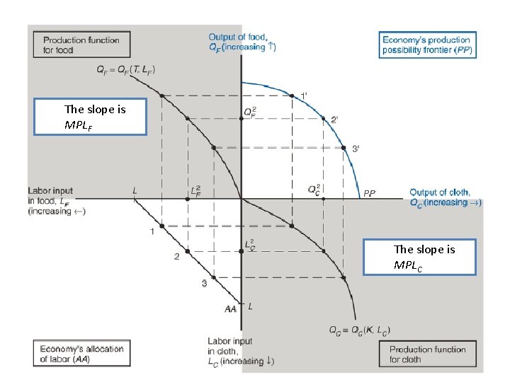 The slope is MPLF The slope is MPLC 