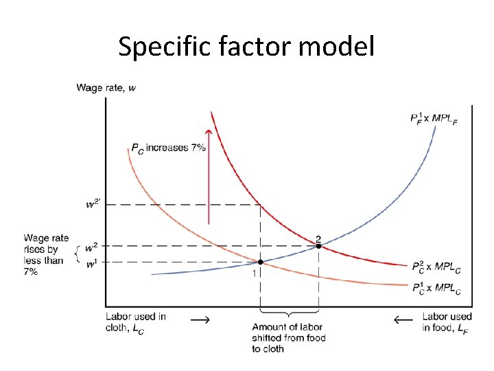 Specific factor model 