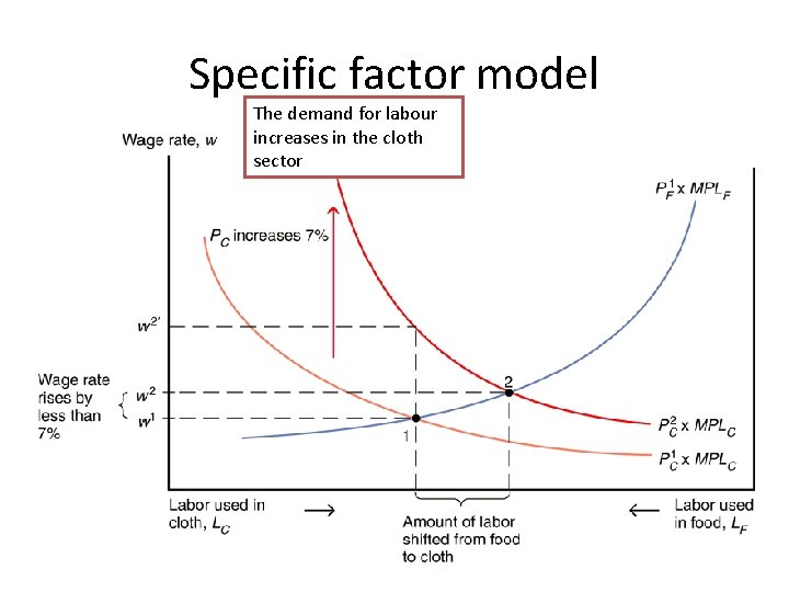 Specific factor model The demand for labour increases in the cloth sector 