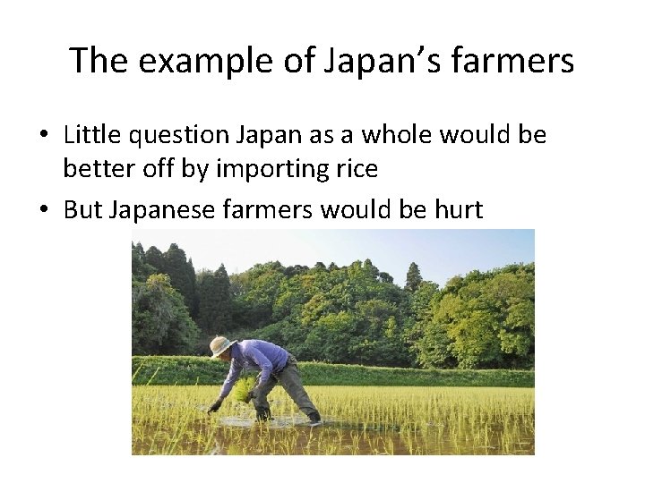 The example of Japan’s farmers • Little question Japan as a whole would be