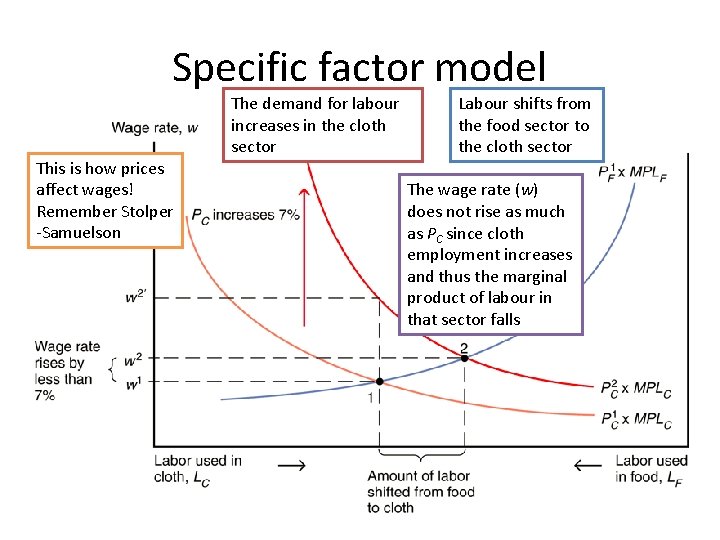 Specific factor model This is how prices affect wages! Remember Stolper -Samuelson The demand