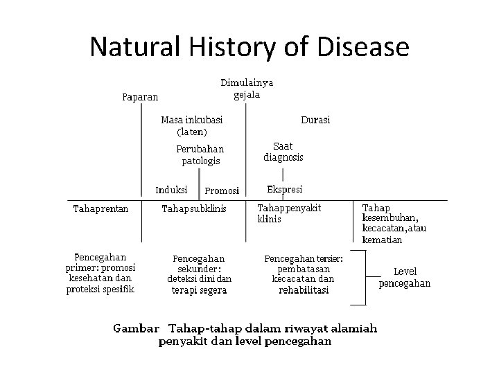Natural History of Disease 
