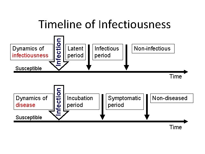 Dynamics of infectiousness Susceptible Infection Timeline of Infectiousness Latent period Infectious period Non-infectious Dynamics