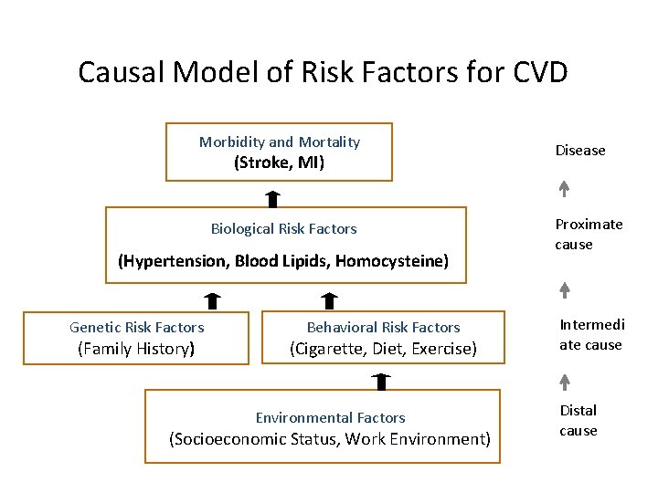 Causal Model of Risk Factors for CVD Morbidity and Mortality (Stroke, MI) Biological Risk